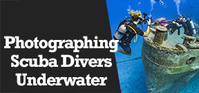 Wetpixel Live: Photographing Scuba Divers Photo