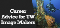 Wetpixel Live: Career Advice for UW Image Makers Photo