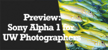 Wetpixel Live: Sony Alpha 1 Underwater Photography Preview Photo
