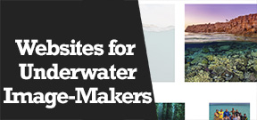 Wetpixel Live: Websites for Underwater Image-Makers Photo