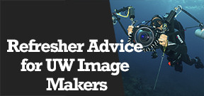Wetpixel Live: Refresher Advice for UW Image-Makers Photo