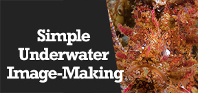 Wetpixel Live: Simple Underwater Image Making Photo