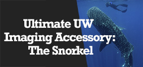 Wetpixel Live: Is the Snorkel the Ultimate UW Imaging Tool Photo