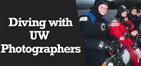 Wetpixel Live: Diving with UW Photographers Photo