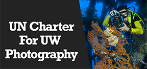 Wetpixel Live: UN Charter for UW Photography Photo