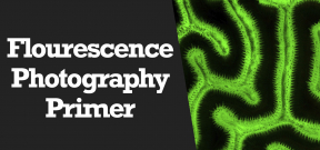 Wetpixel Live: Fluorescence Photography Primer Photo