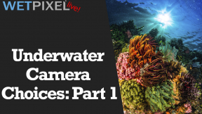 Wetpixel Live: Underwater Camera Choices Part One Photo