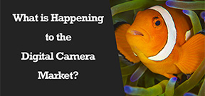 Wetpixel Live: What is Happening to the Digital Camera Market? Photo