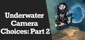 Wetpixel Live: Underwater Camera Choices Part Two Photo