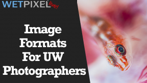Wetpixel Live: Image Formats for Underwater Photographers Photo