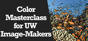 Wetpixel Live: Color Masterclass for Underwater Image Makers Photo