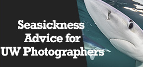 Wetpixel Live: Seasickness Advice for Underwater Photographers Photo