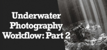 Wetpixel Live: Workflow for Underwater Photographers-Part 2 Photo