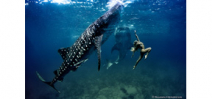 Interview with Shawn Heinrichs and Hannah Fraser Photo