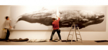 How to print a life size photograph of a whale Photo