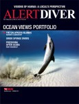 Spring issue of Alert Diver released Photo
