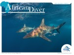 African Diver issue 17 available Photo