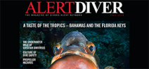 Alert Diver-Bahamas Underwater Photo Week issue Photo