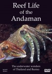 Reef Life of the Andaman on YouTube Photo