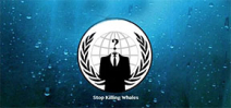 Anonymous attacks Icelandic whaling Photo