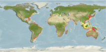 Paper describes AquaMaps global distribution maps Photo