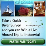 Take a diver survey and win a trip to Indonesia Photo