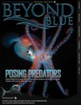 Issue 10 of Beyond Blue magazine available Photo