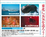 Tokyo charity photo exhibition Photo