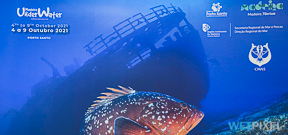 Live Report: CMAS World Underwater Photo and Video Championships Photo