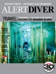 Alert Diver fall issue available online Photo