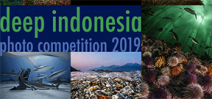 Final call for entries to DEEP Indonesia 2019 Photo