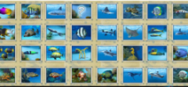 Divemaster game released Photo
