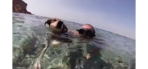 A freediving underwater video with a dog Photo
