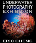 Exhibition in San Diego: Eric Cheng’s underwater photography Photo