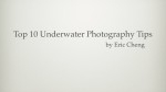 Eric Cheng presents his top 10 underwater photography tips Photo