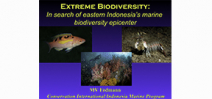 Video: Mark Erdman on species diversity Photo