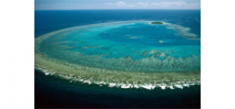 Environmental photographer dies while snorkeling Great Barrier Reef Photo