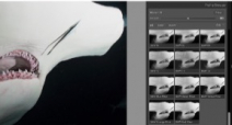 Adobe explains how to use and create Profiles in Lightroom Photo