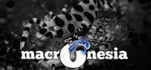 Video: Macronesia by Shane Siers Photo