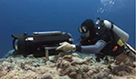 RED One Digital Cinema Camera underwater housing appraisal Photo