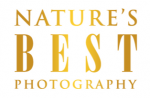 Nature’s Best Ocean Views 2010 winners announced Photo