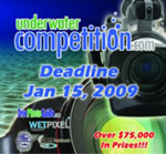 OWU 2009 and DEEP 2009 DEADLINES JAN 15th! Photo