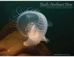 May issue of Pacific Northwest Diver available Photo