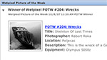 Wetpixel Picture of the Week now has an RSS feed Photo