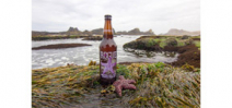 Rogue ales releases Wasted Sea Star Purple Pale Ale Photo