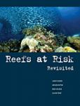 Coral Reefs Revisited: 90% of all reefs threatened by 2030 Photo