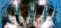 The olympic underwater photographers are robots Photo