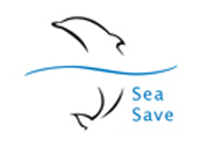 Sea Save announces online auction Photo