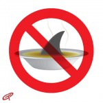 Illinois bans shark fin Photo