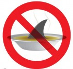 China bans shark fin from official functions Photo